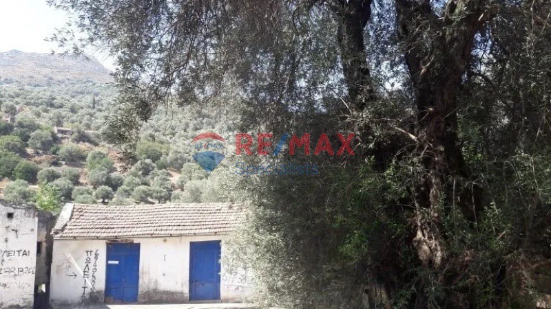 Μονοκατοικία 273 τ.μ. πρός πώληση, Ν. Χανίων, Πελεκάνος