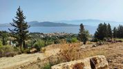 Αγροτεμάχια 6.500τ.μ. για πώληση-Λευκάδα