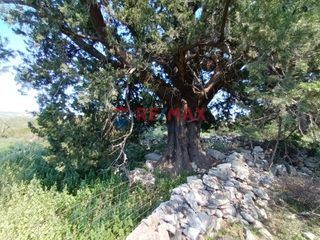 Οικόπεδο 3.209 τ.μ. για πώληση, Ν. Χανίων, Κρυονερίδα-thumb-3