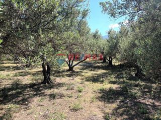 Οικόπεδο 3.209 τ.μ. για πώληση, Ν. Χανίων, Κρυονερίδα-thumb-1
