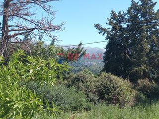 Οικόπεδο 3.209 τ.μ. για πώληση, Ν. Χανίων, Κρυονερίδα-thumb-4