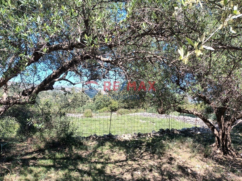 Οικόπεδο 3.209 τ.μ. πρός πώληση, Ν. Χανίων, Κρυονερίδα
