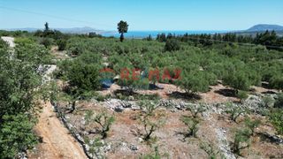 Οικόπεδο 2.269 τ.μ. για πώληση, Ν. Χανίων, Φρέ-thumb-6