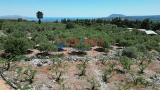 Οικόπεδο 2.269 τ.μ. για πώληση, Ν. Χανίων, Φρέ-thumb-5