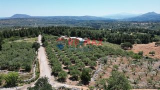 Οικόπεδο 2.269 τ.μ. για πώληση, Ν. Χανίων, Φρέ-thumb-7