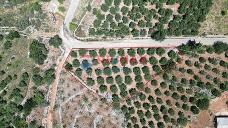 Land plot 2.269sqm for sale-Fre
