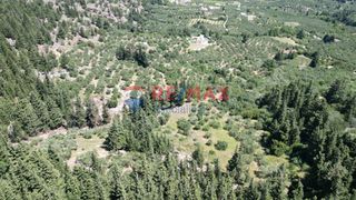 Οικόπεδο 15.928 τ.μ. για πώληση, Ν. Χανίων, Φρέ-thumb-5