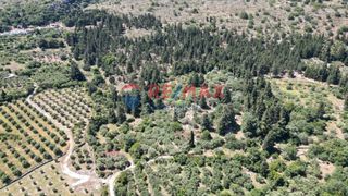 Οικόπεδο 15.928 τ.μ. για πώληση, Ν. Χανίων, Φρέ-thumb-1