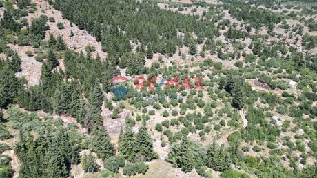 Land plot 15.928sqm for sale-Fre