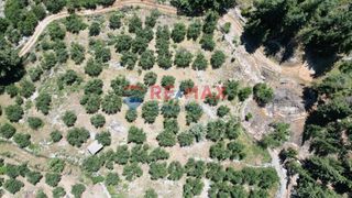 Οικόπεδο 15.928 τ.μ. για πώληση, Ν. Χανίων, Φρέ-thumb-9