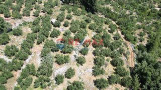 Οικόπεδο 15.928 τ.μ. για πώληση, Ν. Χανίων, Φρέ-thumb-8
