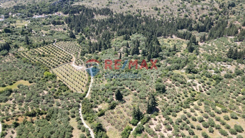 Οικόπεδο 15.928 τ.μ. πρός πώληση, Ν. Χανίων, Φρέ