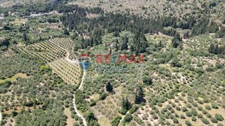 Οικόπεδο 15.928 τ.μ. για πώληση, Ν. Χανίων, Φρέ-thumb-4