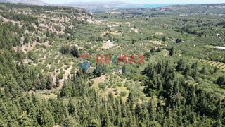 Οικόπεδο 15.928 τ.μ. για πώληση, Ν. Χανίων, Φρέ-thumb-7
