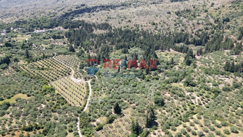 Οικόπεδο 15.928 τ.μ. πρός πώληση, Ν. Χανίων, Φρέ