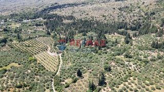 Οικόπεδο 15.928 τ.μ. για πώληση, Ν. Χανίων, Φρέ-thumb-2