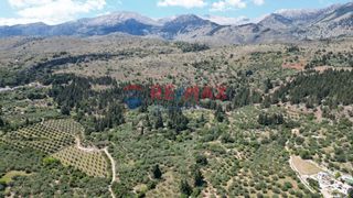 Οικόπεδο 15.928 τ.μ. για πώληση, Ν. Χανίων, Φρέ-thumb-3