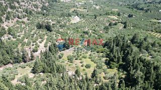 Οικόπεδο 15.928 τ.μ. για πώληση, Ν. Χανίων, Φρέ-thumb-6