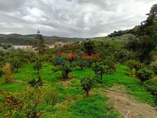 Οικόπεδο 1.233 τ.μ. για πώληση