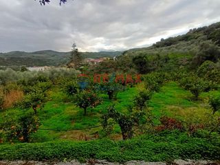 Οικόπεδο 1.233 τ.μ. για πώληση, Ν. Χανίων, Πλατανιάς-thumb-4