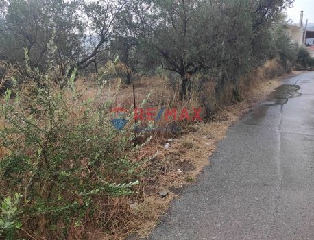 Land plot 1.300sqm for sale-Voukolies