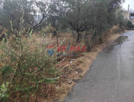 Οικόπεδο 1.300 τ.μ. για πώληση, Ν. Χανίων, Βουκολιές