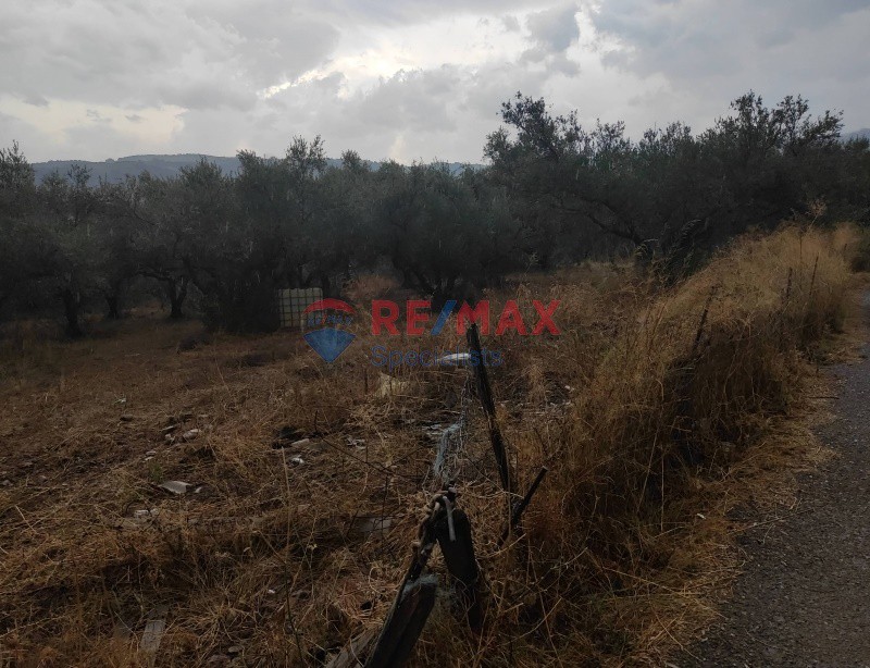 Οικόπεδο 1.300 τ.μ. προς πώληση, Κέντρο Βουκολιών