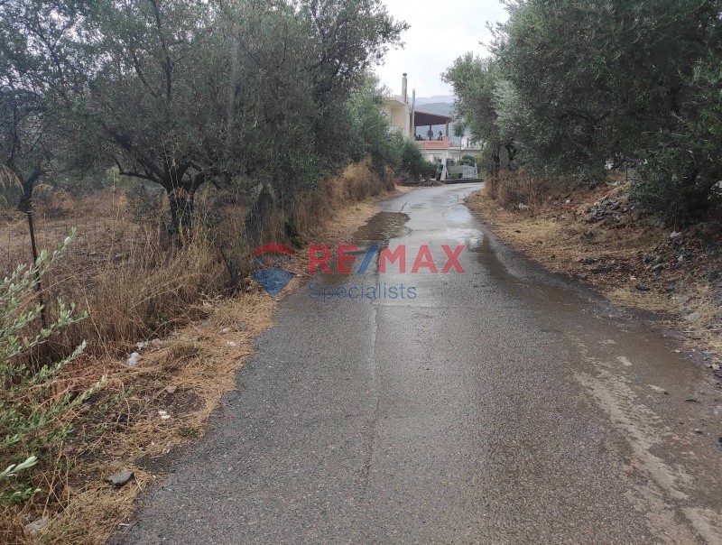 Οικόπεδο 1.300 τ.μ. προς πώληση, Κέντρο Βουκολιών