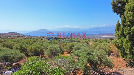 Land plot 1.600sqm for sale-Akrotiri