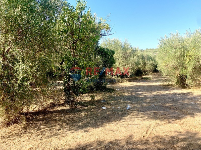 Οικόπεδο 1.282 τ.μ. προς πώληση, Γαβαλοχώρι