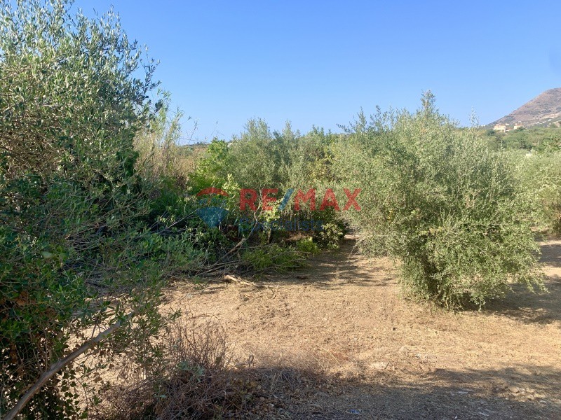 Οικόπεδο 1.282 τ.μ. προς πώληση, Γαβαλοχώρι