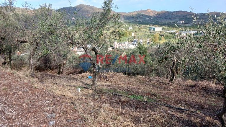 Οικόπεδο 1.040 τ.μ. για πώληση, Ν. Χανίων, Θέρισος