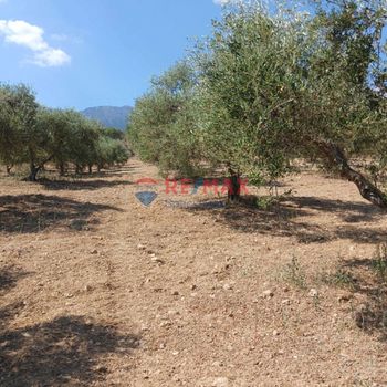 Land plot 5.099sqm for sale-Krionerida