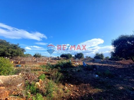 Αγροτεμάχια 1.534τ.μ. για πώληση-Ακρωτήρι