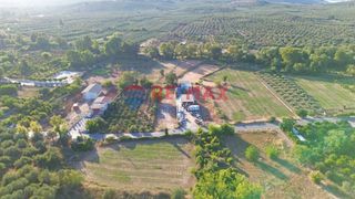 Οικόπεδο 1.500 τ.μ. για ενοικίαση, Ν. Χανίων, Αρμενοί-thumb-5