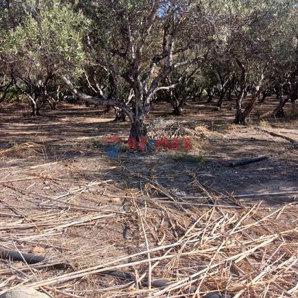 Οικόπεδο 4.006 τ.μ. για πώληση, Ν. Χανίων, Βουκολιές