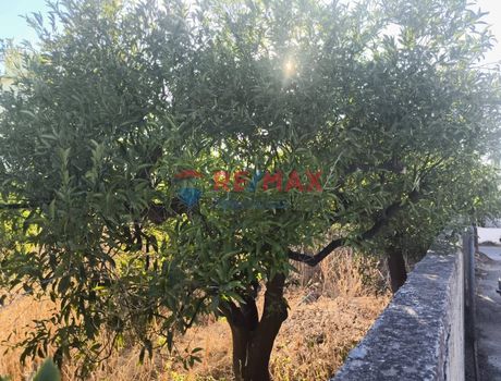 Οικόπεδο 368τ.μ. για πώληση-Ελ. βενιζέλος
