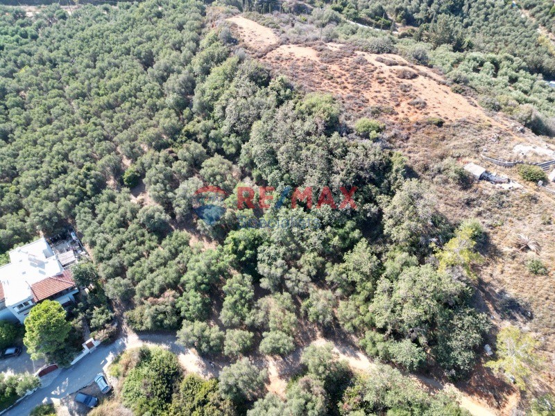 Οικόπεδο 2.045 τ.μ. προς πώληση, Αξεμιανά