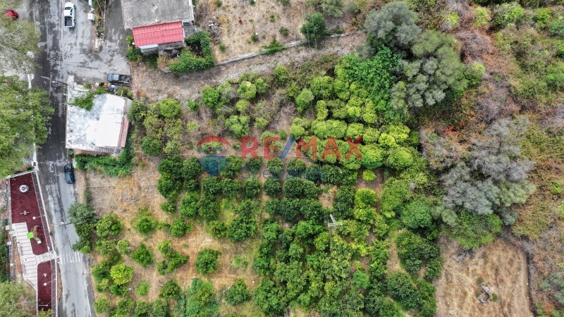 Οικόπεδο 1.367 τ.μ. πρός πώληση, Ν. Χανίων, Πλατανιάς