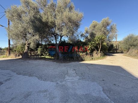 Αγροτεμάχια 710 τ.μ. για πώληση
