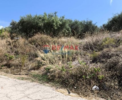 Land plot 6.500sqm for sale-Mithimni