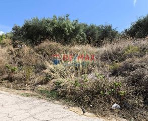 Οικόπεδο 6.500 τ.μ. για πώληση