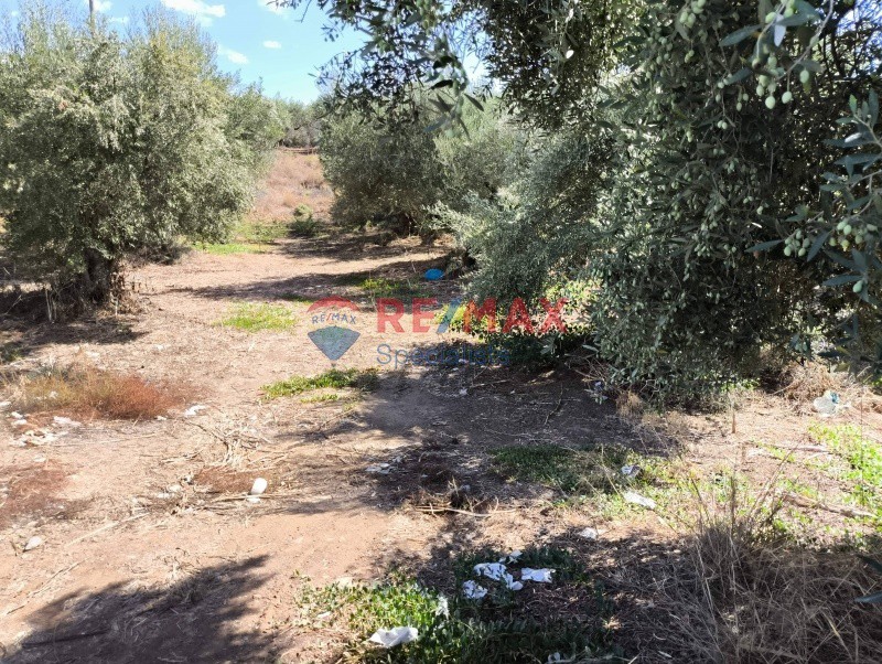 Οικόπεδο 6.500 τ.μ. πρός πώληση, Ν. Χανίων, Μυθήμνη