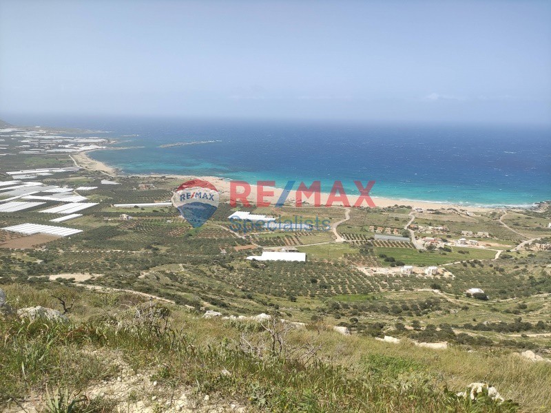 Οικόπεδο 25.000 τ.μ. προς πώληση, Φαλασαρνά