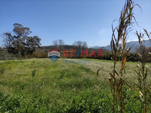 Οικόπεδο 4.800 τ.μ. για πώληση, Ν. Χανίων, Θέρισος