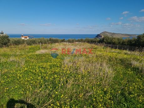 Οικόπεδο 9.500τ.μ. για πώληση-Νέα κυδωνία