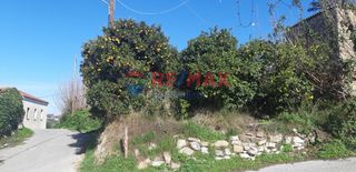 Οικόπεδο 487 τ.μ. για πώληση, Ν. Χανίων, Πλατανιάς-thumb-6
