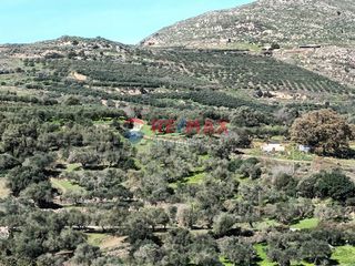 Οικόπεδο 578 τ.μ. για πώληση, Ν. Χανίων, Κολυμβάρι-thumb-8