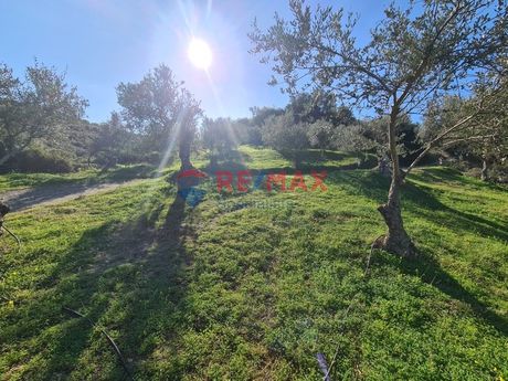 Parcel 4.881sqm for sale-Nea Kidonia