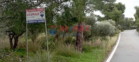 Land plot 4.000sqm for rent-Akrotiri